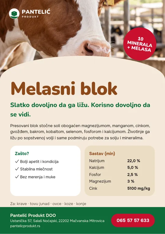 Letak A4: Melasni blok