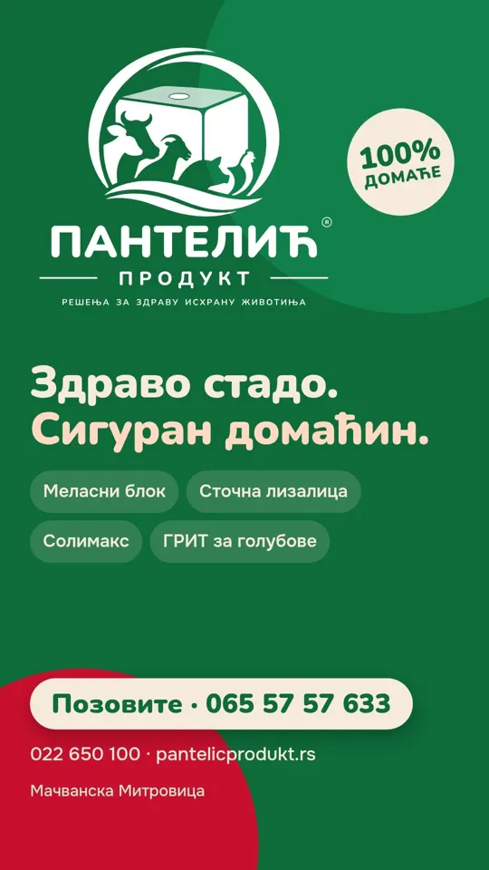 Плакат: Здраво стадо