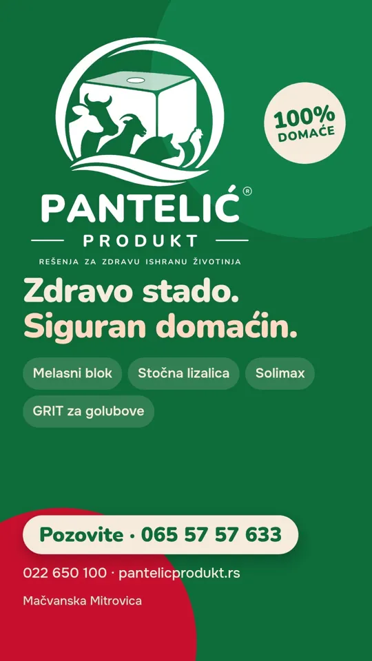 Plakat: Zdravo stado